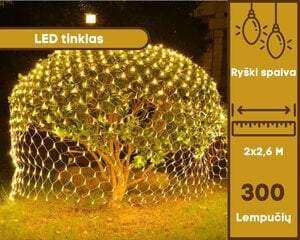 LED užuolaida - tinklas, 160 LED, šiltai balta цена и информация | Гирлянды | pigu.lt