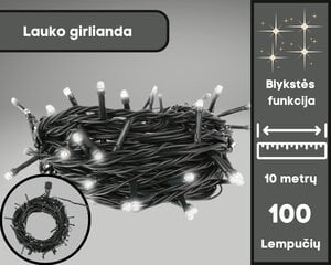 Lauko 100 LED girlianda su blykstės funkcija цена и информация | Гирлянды | pigu.lt