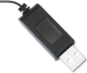 1 шт. USB 4.8v MH Ni-CD зарядное устройство JST 2P пульт дистанционного управления игрушка аккумулятор кабель цена и информация | Смарттехника и аксессуары | pigu.lt