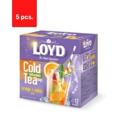 Loyd Cold Infusion arbata, apelsinų ir šalavijų skonio, 12 x 2,5 g x 5 pak. kaina ir informacija | Arbata | pigu.lt