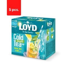 Чай со вкусом лимона, зеленого цитрона и мяты LOYD Cold Infusion, 12 x 2.5 г x 5 упаковок цена и информация | Чай | pigu.lt