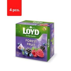 Чай фруктовый со вкусом лесных ягод LOYD, 50 х 2 г х 4 упаковки цена и информация | Чай | pigu.lt