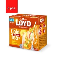 Loyd Cold Infusion arbata, obuolių ir ananasų skonio, 12 x 2,5 g x 5 pak. kaina ir informacija | Arbata | pigu.lt