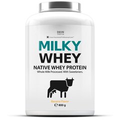 Dion Sportlab Milky Whey, bananų sk., 800g kaina ir informacija | Baltymai | pigu.lt