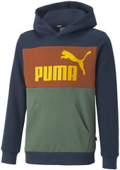 Джемпер Puma Ess Block Hoodie Brown Green Blue 849081 73 849081 73/116 цена и информация | Свитеры, жилетки, пиджаки для мальчиков | pigu.lt