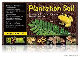 Substratas terariumui Exo Terra Plantation Soil Brick, 650 g kaina ir informacija | Prekės egzotiniams gyvūnams | pigu.lt