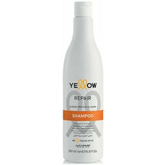 Šampūnas Alfaparf Yellow Repair, 500 ml цена и информация | Шампуни | pigu.lt