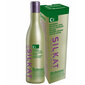 Šampūnas BES Silkat Bulboton C1 Shampoo, 300ml kaina ir informacija | Šampūnai | pigu.lt