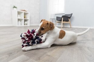 Trixie žaislas šunims Dog Activity kaina ir informacija | Žaislai šunims | pigu.lt