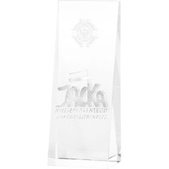 Stiklinis trofėjus, 20 cm kaina ir informacija | Kitos originalios dovanos | pigu.lt