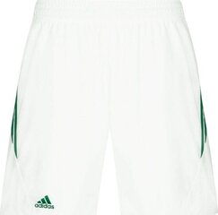 Adidas Жилеты Helionic Vest Green HG6274 цена и информация | Мужские шорты | pigu.lt