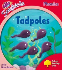Oxford Reading Tree Songbirds Phonics: Level 4: Tadpoles, Level 4 цена и информация | Книги для подростков  | pigu.lt