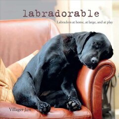 Labradorable: Labradors at Home, at Large, and at Play цена и информация | Книги о питании и здоровом образе жизни | pigu.lt