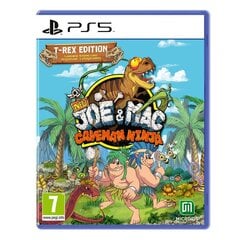 Видеоигры PlayStation 5 Microids Joe & Mac Caveman ninja цена и информация | Компьютерные игры | pigu.lt