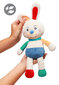 BabyOno minkštas žaislas triušis JERRY 614 kaina ir informacija | Minkšti (pliušiniai) žaislai | pigu.lt