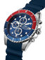 Vyriškas laikrodis Sector R3271776010 R3271776010 цена и информация | Vyriški laikrodžiai | pigu.lt