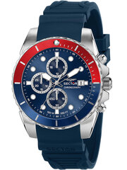 Vyriškas laikrodis Sector R3271776010 R3271776010 цена и информация | Мужские часы | pigu.lt