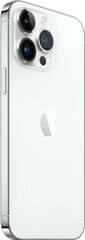 Apple iPhone 14 Pro Max 256GB, mobilusis telefonas kaina ir informacija | Mobilieji telefonai | pigu.lt