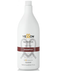 Šampūnas Alfaparf Yellow Nutritive, 1500 ml цена и информация | Шампуни | pigu.lt