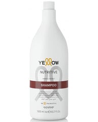 Šampūnas Alfaparf Yellow Nutritive, 1500 ml цена и информация | Шампуни | pigu.lt