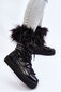 Auliniai batai moterims PM1 BSB23485.2681 kaina ir informacija | Aulinukai, ilgaauliai batai moterims | pigu.lt