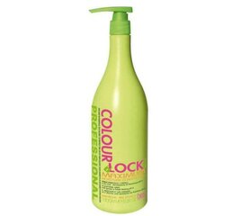 Kondicionierius Bes Color Lock Maximum Moisture, 1000 ml kaina ir informacija | Balzamai, kondicionieriai | pigu.lt