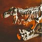 Kūrybinis mokslų rinkiys Lisciani Drakonai ir dinozaurai kaina ir informacija | Lavinamieji žaislai | pigu.lt