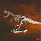 Kūrybinis mokslų rinkiys Lisciani Drakonai ir dinozaurai kaina ir informacija | Lavinamieji žaislai | pigu.lt