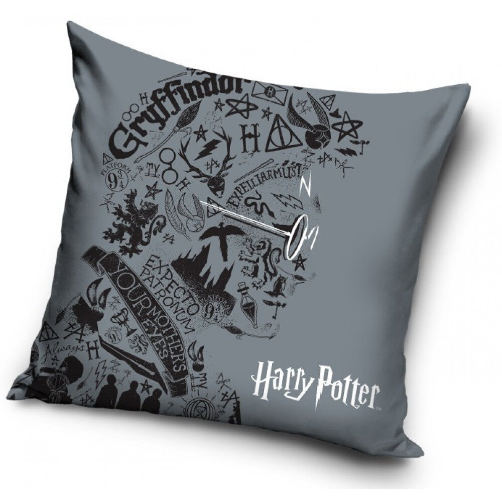 Dekoratyvinė pagalvė Harry Potter, 40 x 40 cm цена и информация | Dekoratyvinės pagalvėlės ir užvalkalai | pigu.lt