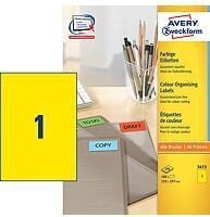 Lipnios etiketės Avery Zweckform A4, 210x297 mm. kaina ir informacija | Kanceliarinės prekės | pigu.lt