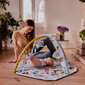 Lavinamasis kilimėlis 2in1 Kinderkraft Smartplay Sea kaina ir informacija | Lavinimo kilimėliai | pigu.lt