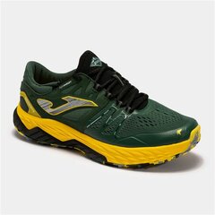 Беговые кроссовки для взрослых Joma Sport Sierra 2215 Темно-зеленый Мужской цена и информация | Кроссовки мужские | pigu.lt