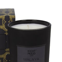 Aromatinė sojų vaško žvakė Malaya цена и информация | Подсвечники, свечи | pigu.lt