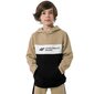 Vaikiškas džemperis 4F light Jr HJZ22 JBLM003 82S, rudas, 164 cm цена и информация | Džemperiai moterims | pigu.lt