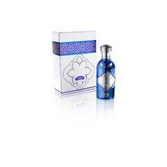 Парфюмерная вода Al Sheikh Rich Platinum Limited Edition, EDP, 100 ml. цена и информация | Мужские духи | pigu.lt