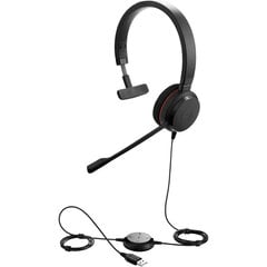 Jabra Evolve 20 UC Mono цена и информация | Наушники | pigu.lt