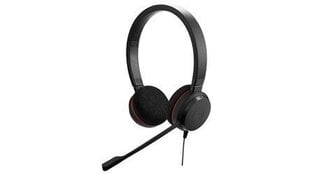 Jabra Evolve 20 Duo цена и информация | Теплая повязка на уши, черная | pigu.lt