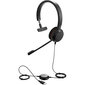 Jabra Evolve 20 Mono MS 4993-823-109 цена и информация | Ausinės | pigu.lt