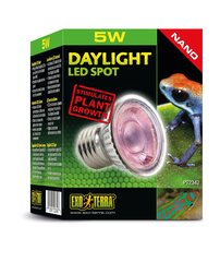 Terariumo lempa Daylight LED Spot Nano 5w PT2342 kaina ir informacija | Prekės egzotiniams gyvūnams | pigu.lt