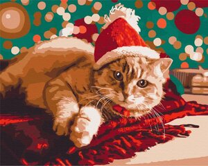 Tapyba pagal skaičius Symag Kalėdų senelio katė kaina ir informacija | Tapyba pagal skaičius | pigu.lt