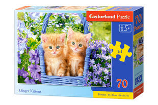 Dėlionė Ginger Kittens, 70 d. kaina ir informacija | Dėlionės (puzzle) | pigu.lt
