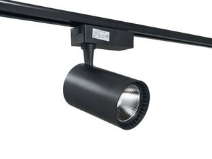 Светодиодный светильник для магазина Steka Ver.E 30W - Черный - Теплый белый (3000K) цена и информация | Люстры | pigu.lt