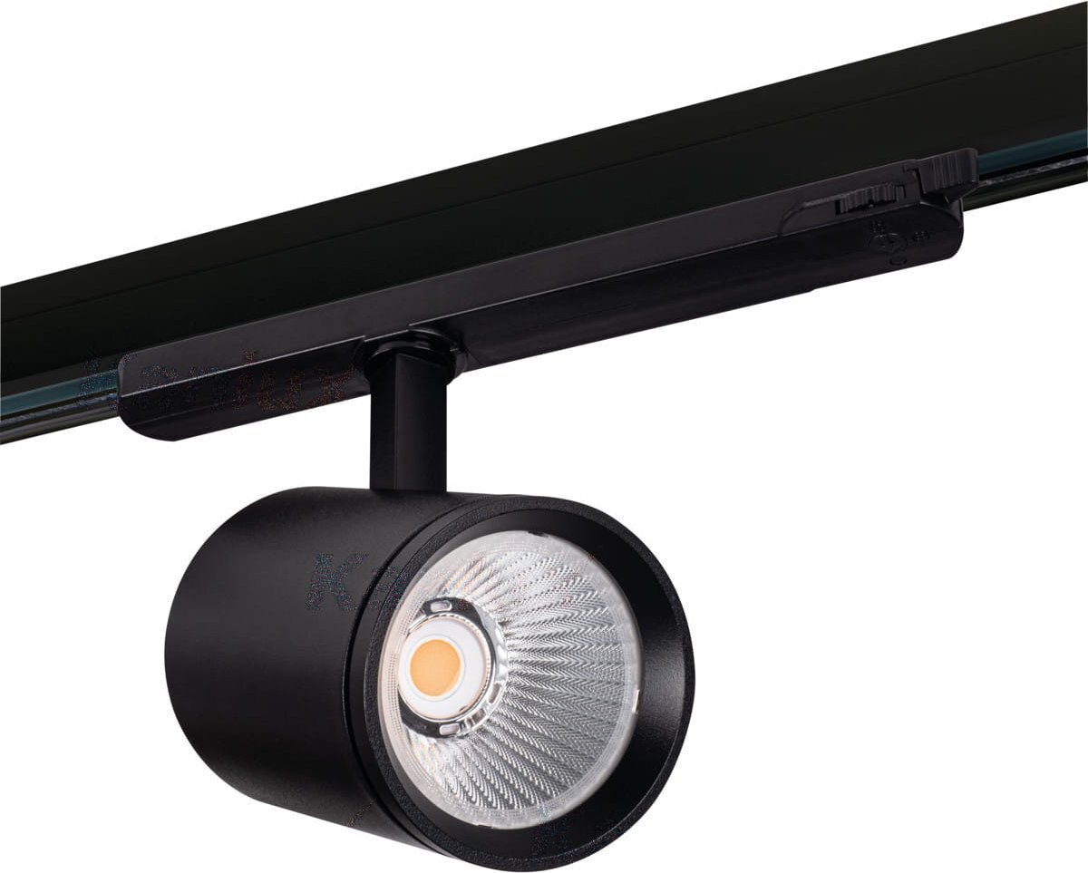 Kanlux lubinis šviestuvas Acord ATL1 kaina ir informacija | Lubiniai šviestuvai | pigu.lt