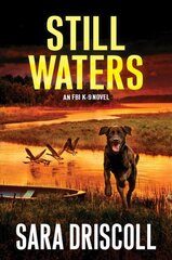 Still Waters: A Riveting Novel of Suspense kaina ir informacija | Fantastinės, mistinės knygos | pigu.lt
