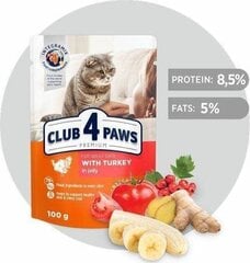 Club 4 Paws Premium влажный корм для кошек - мясо индейки в желе, 100 г цена и информация | Консервы для кошек | pigu.lt