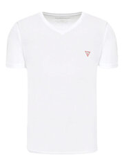 Marškinėliai vyrams Guess, balti kaina ir informacija | Vyriški marškinėliai | pigu.lt