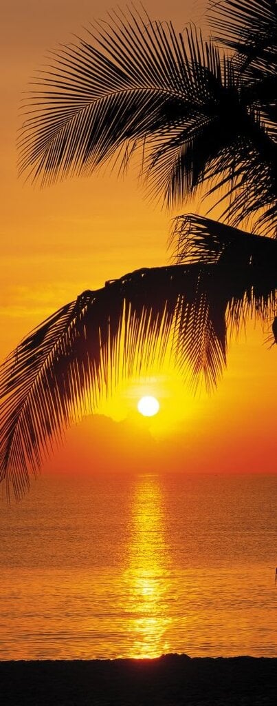 Fototapetas Palmy Beach Sunrise kaina ir informacija | Fototapetai | pigu.lt
