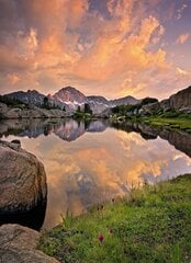 Fotoобои Alpengluhen цена и информация | Фотообои с инструментом и клеем - Бежевые листья эвкалипта, 400x280 см | pigu.lt