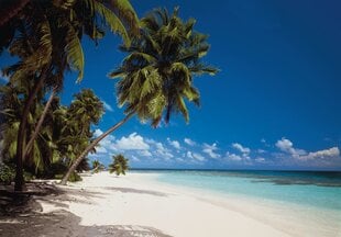 Фотообои Maledives цена и информация | Фотообои | pigu.lt