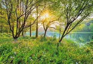 Фотообои Spring Lake цена и информация | Фотообои с инструментом и клеем - Бежевые листья эвкалипта, 400x280 см | pigu.lt